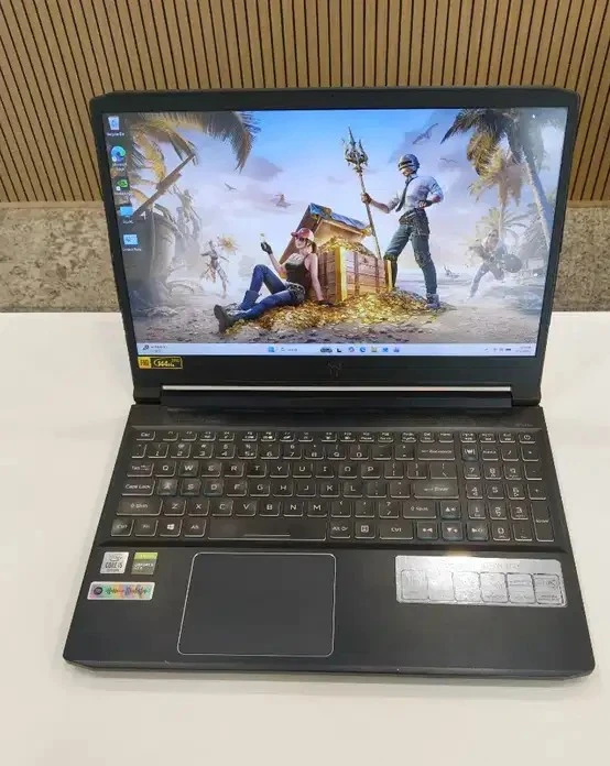 Acer Predator Triton 300 Gaming Laptop